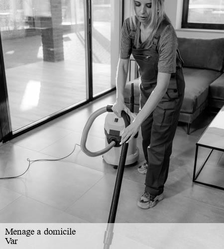 Menage a domicile-5