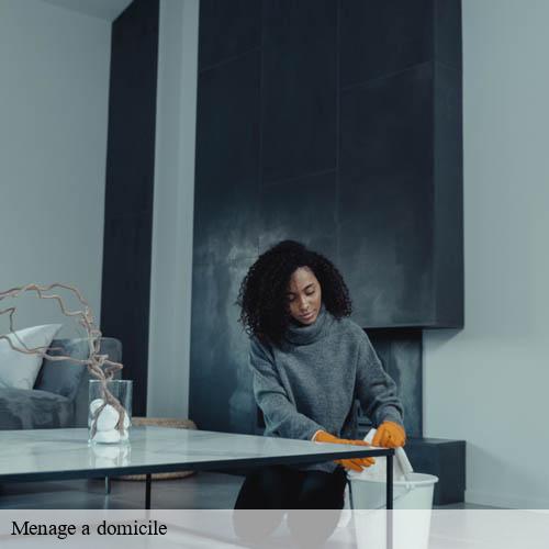 Menage a domicile-9