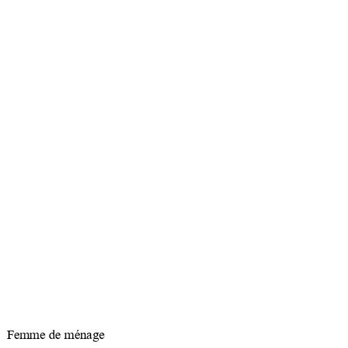 Femme de ménage-9