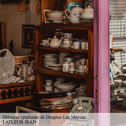 Débarras syndrome de Diogène-7