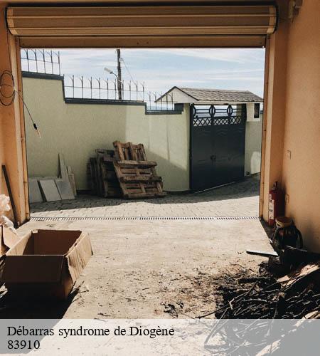 Débarras syndrome de Diogène-5
