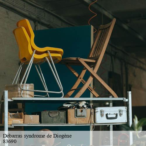 Débarras syndrome de Diogène-8