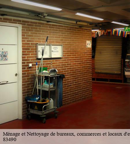 Ménage et Nettoyage de bureaux, commerces et locaux d'entreprise-5