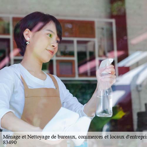 Ménage et Nettoyage de bureaux, commerces et locaux d'entreprise-8